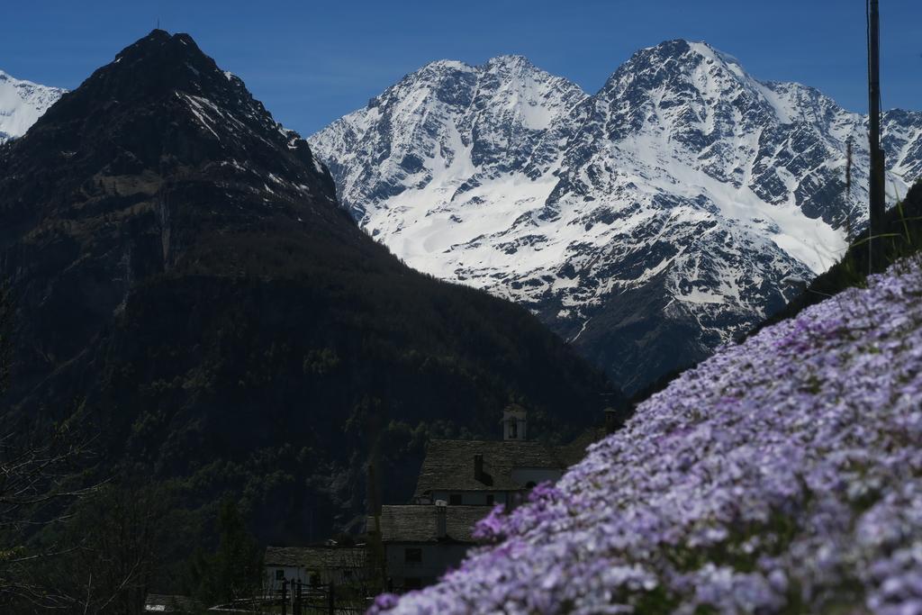 B&B Alpe Veglia Varzo Eksteriør billede