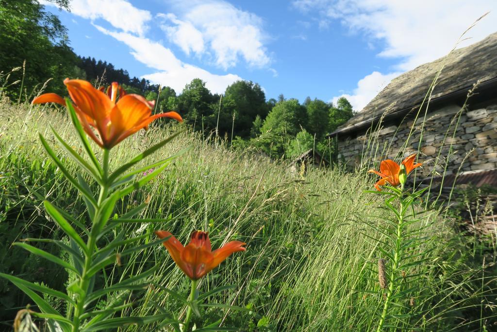B&B Alpe Veglia Varzo Eksteriør billede